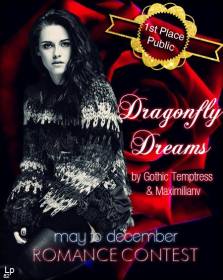 DragonflyDreamsBanner2